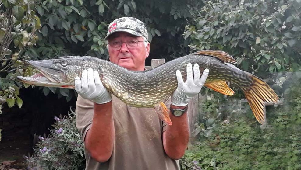 Ernst Hofmann Hecht 103 cm 8050 g Großer Brombachsee