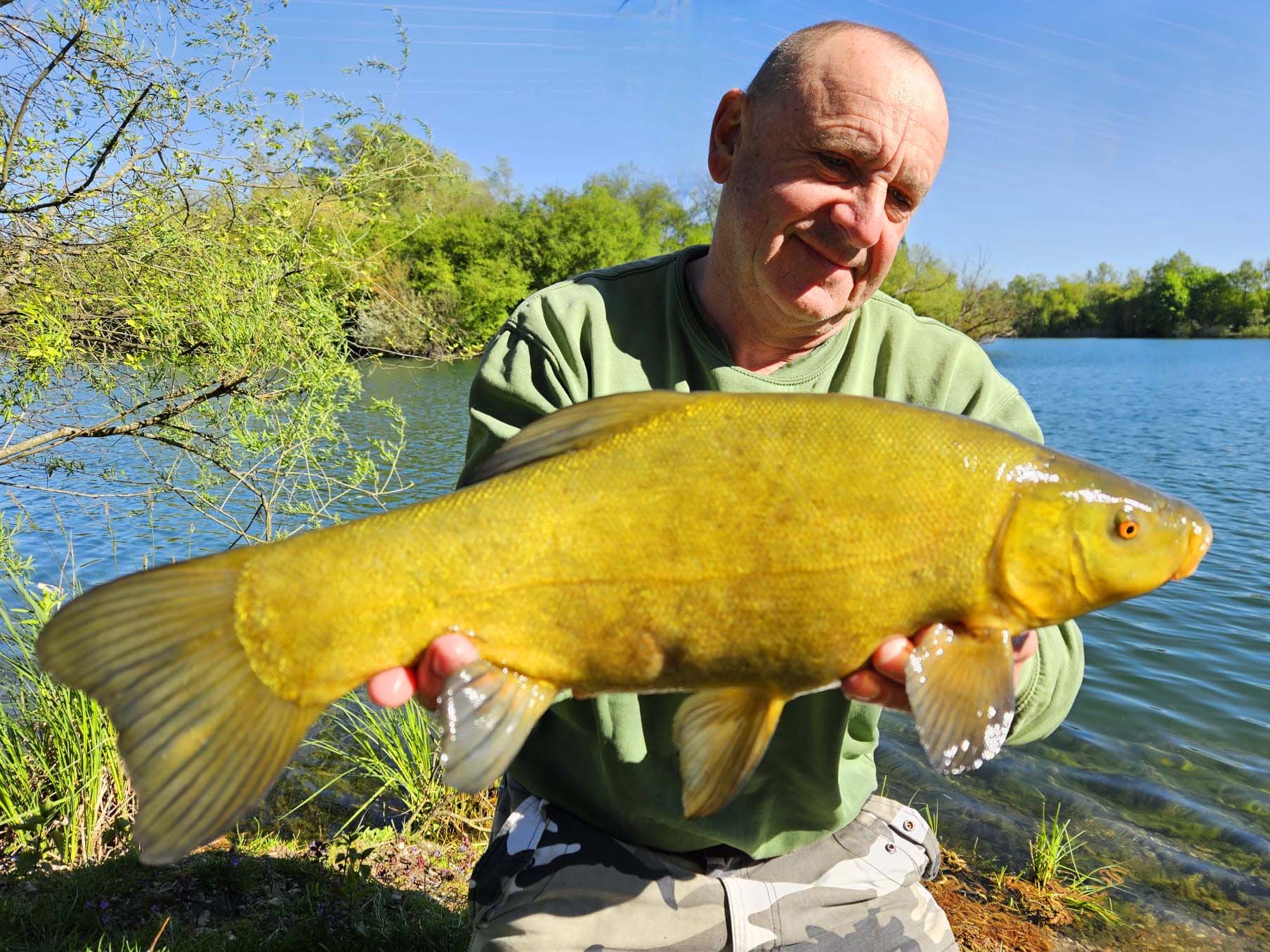 Klaus Tuchan Schleie 52 cm 4 Pfund Ulrichsee