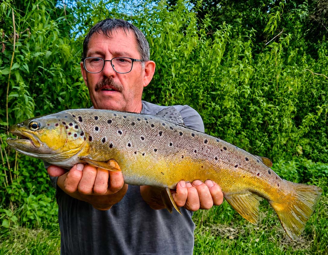 Peter Walther Bachforelle 60 cm 2300 g Pegnitz
